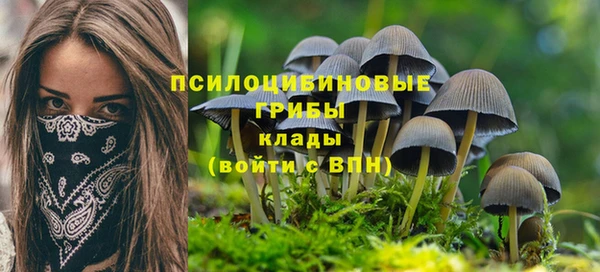a pvp Медногорск