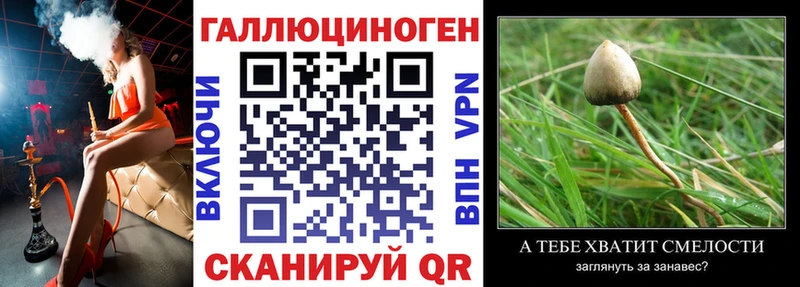 Галлюциногенные грибы мицелий  Киржач 
