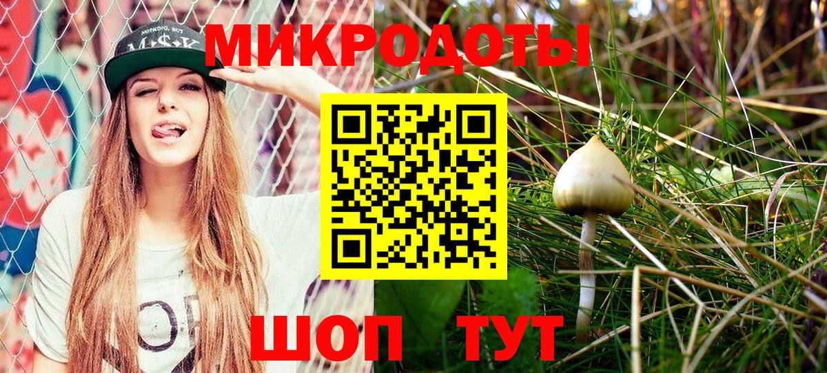 где купить наркотик  Псилоцибиновые грибы Psilocybe  Вход с VPN  Киржач 